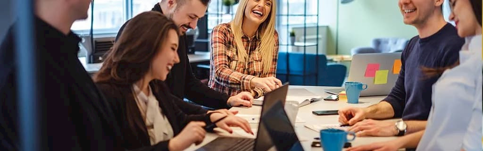 MS Dynamics Navision - Applikationen